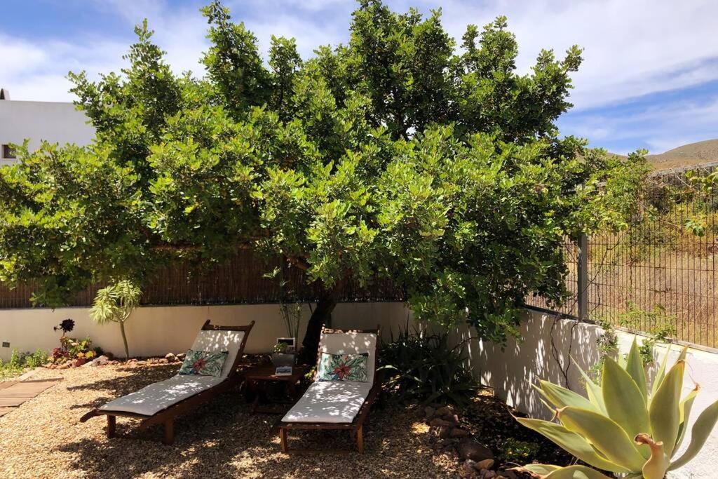 Casa Granado En Cabo De Gata Villa Rodalquilar Dış mekan fotoğraf